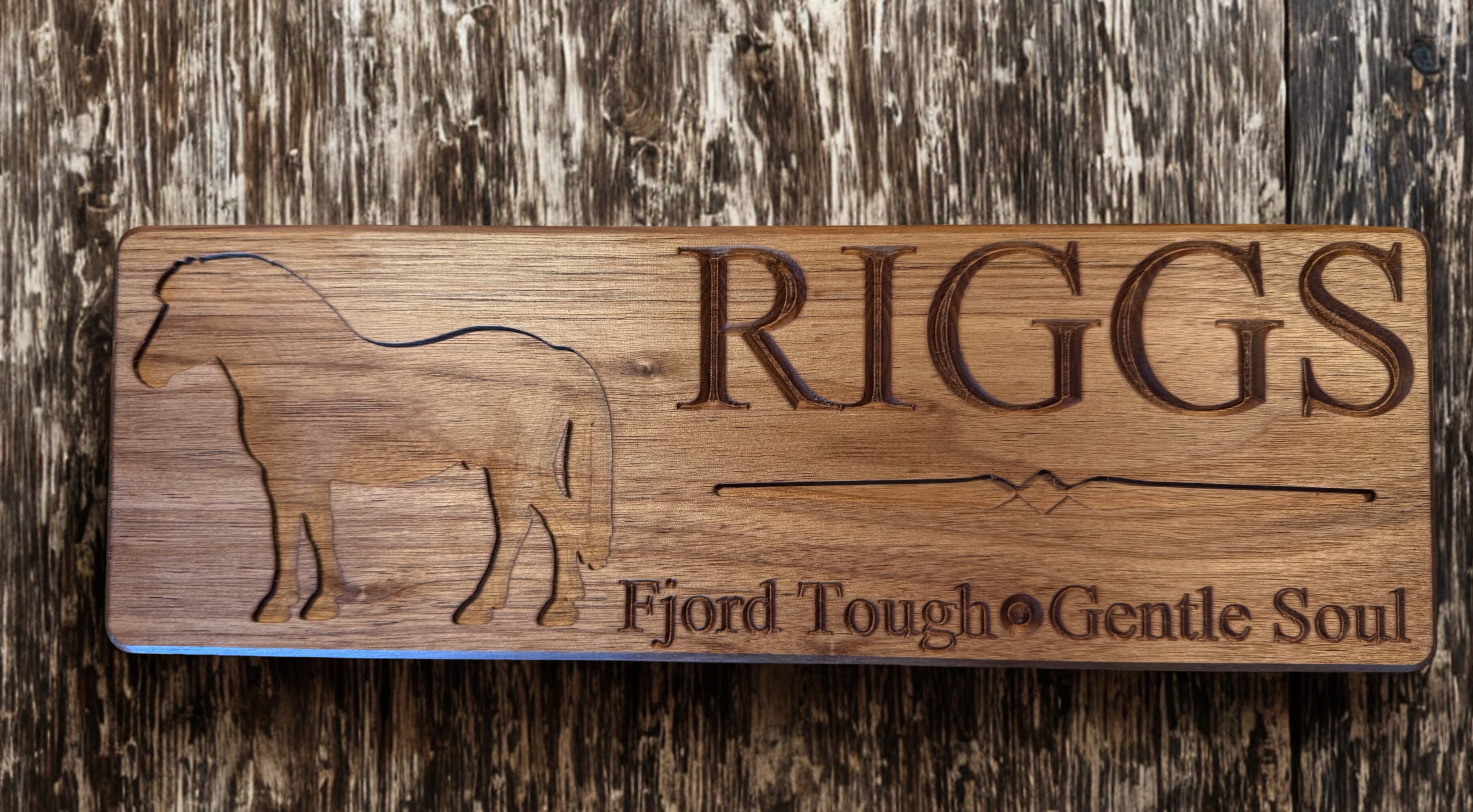 Custom Horse Name Sign – RIGGS